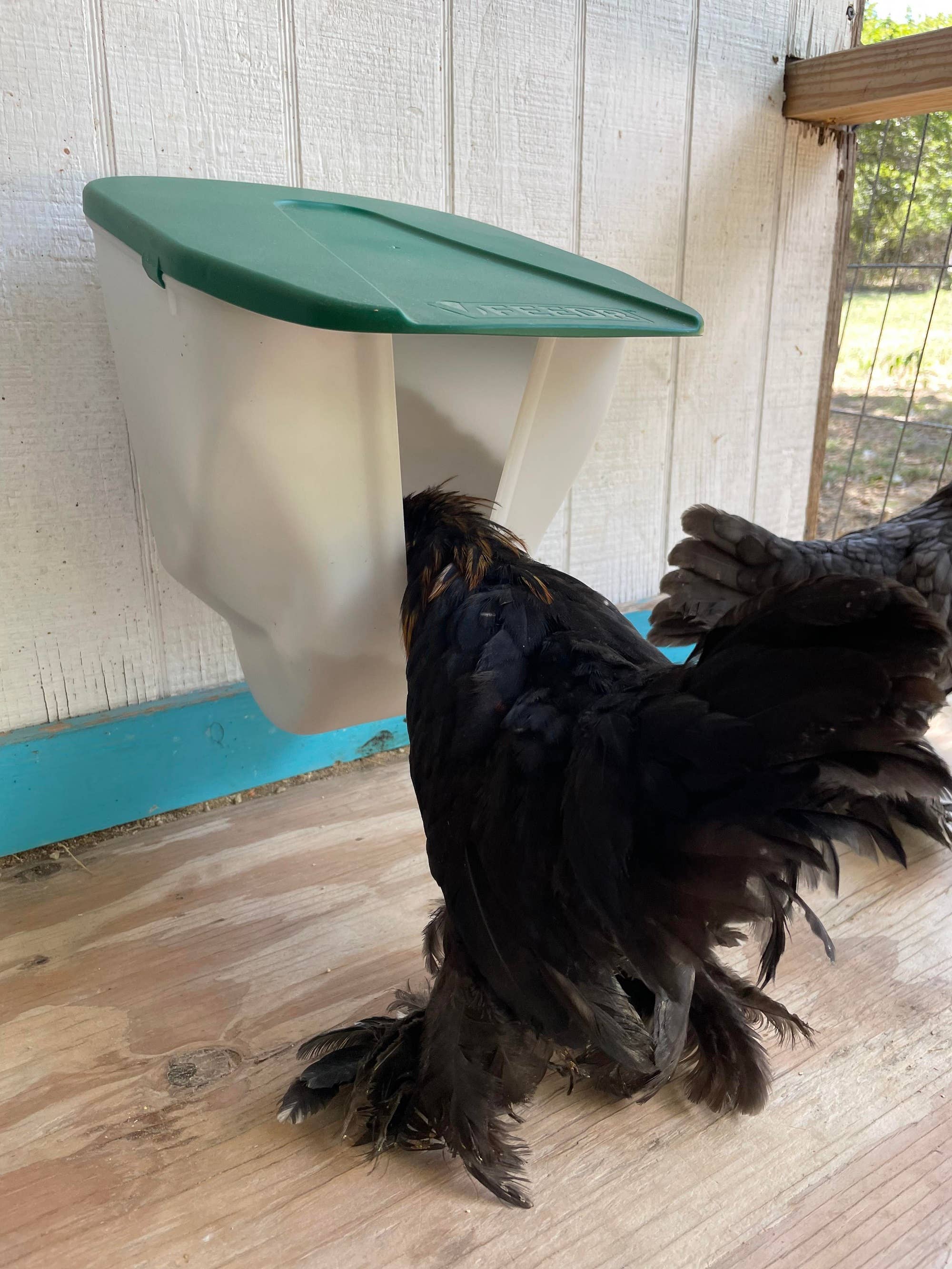 Chicken VFeedr No Waste Hanging Poultry Feeder 5-lbs